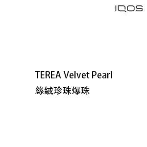 IQOS TEREA Velvet Pearl絲絨珍珠爆珠煙彈