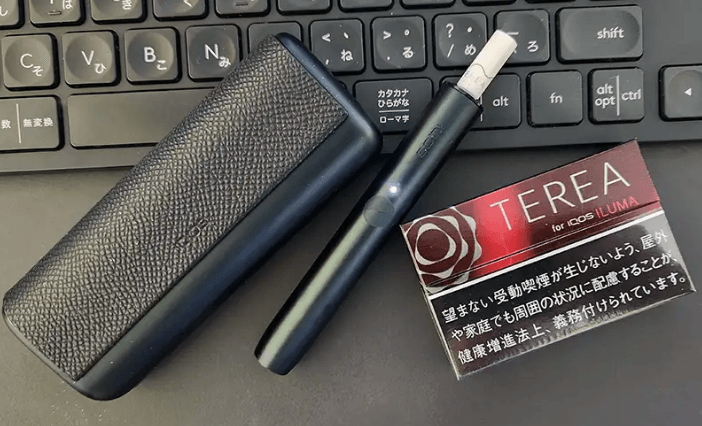 TEREA Black Ruby Menthol(冰霜紅梅)測評